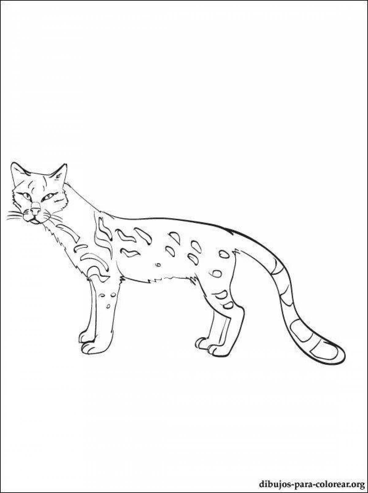 Gorgeous ocelot coloring page