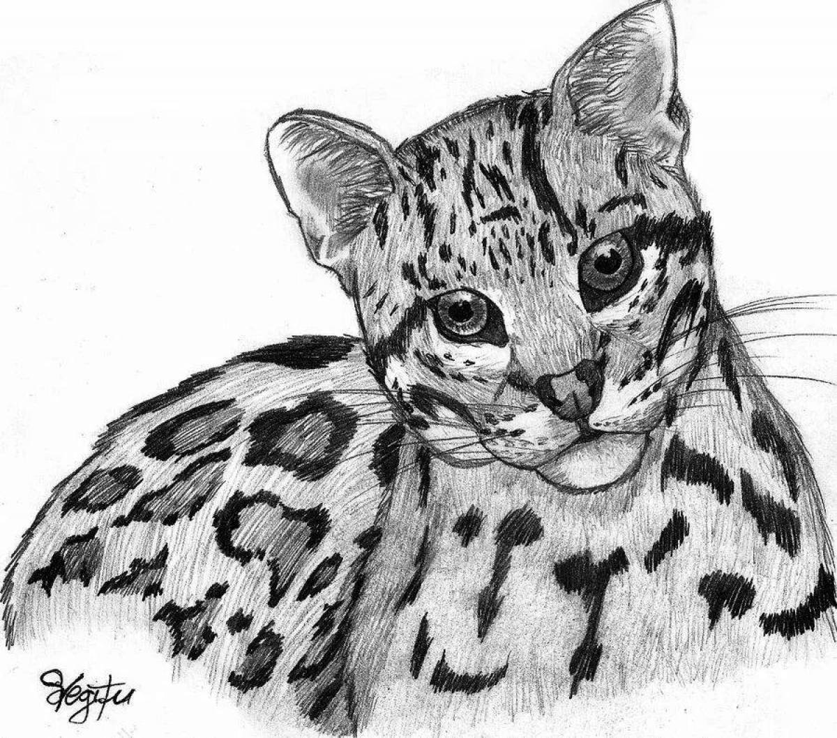 Coloring page nice ocelot