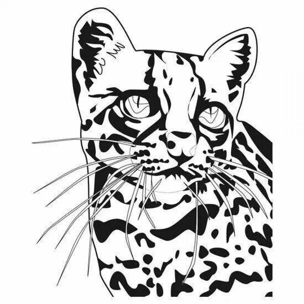 Coloring page dazzling ocelot