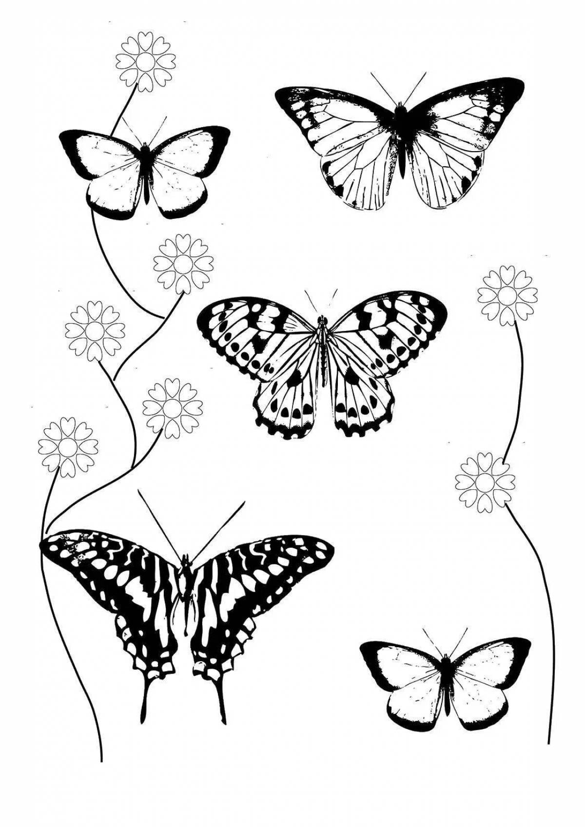 Joyful butterfly coloring pages