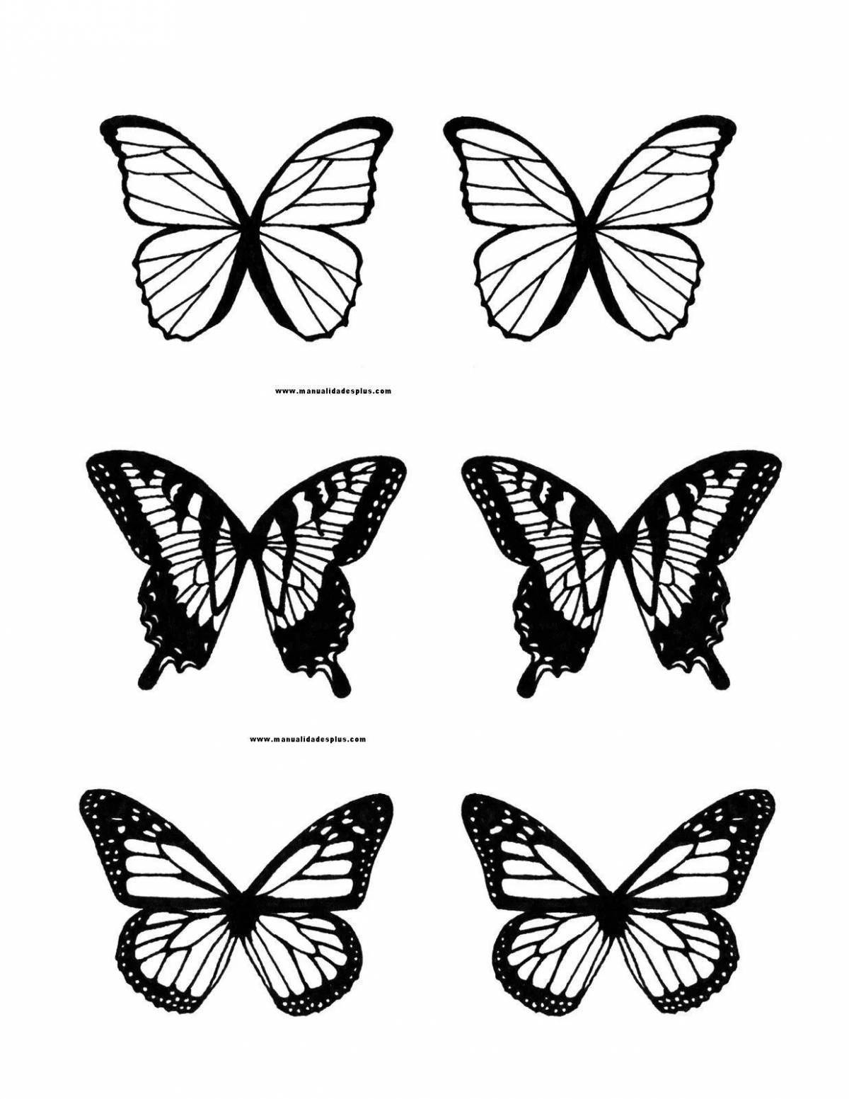 Violent butterfly coloring pages
