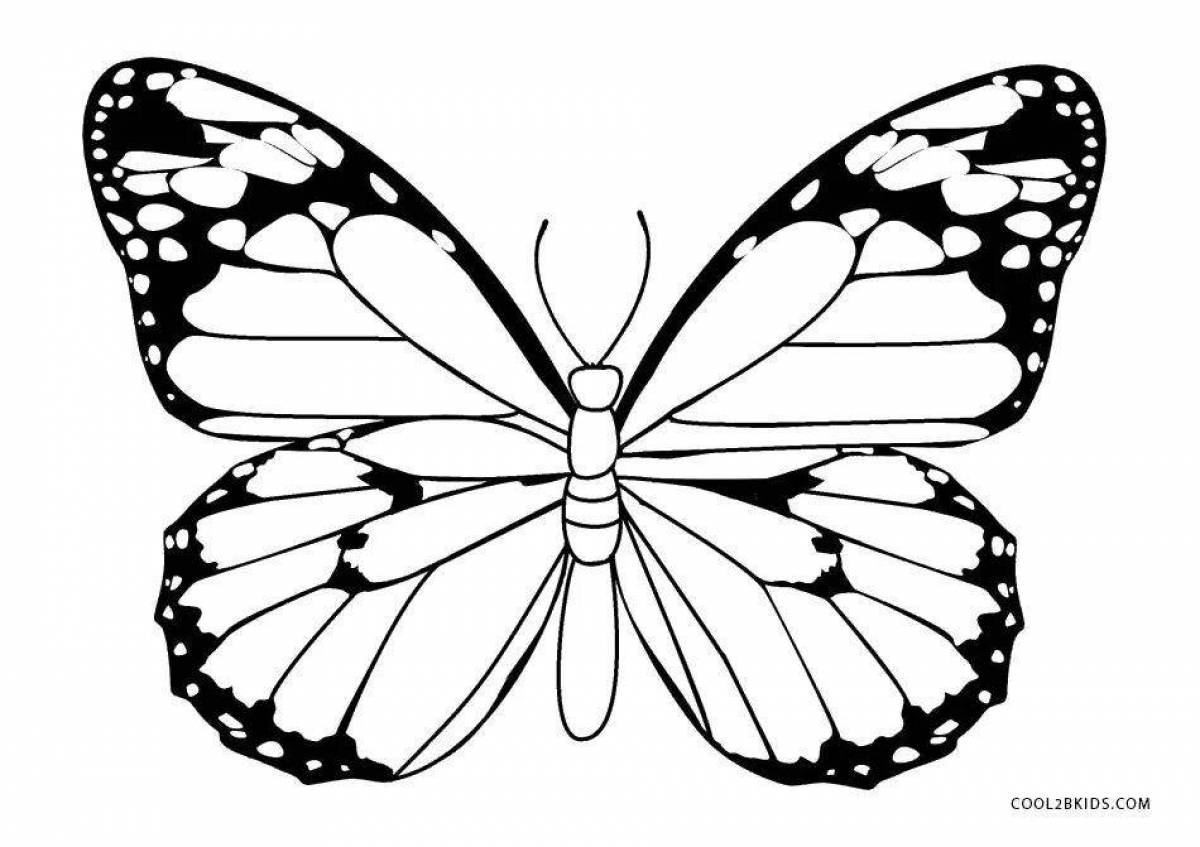 Playful butterfly coloring