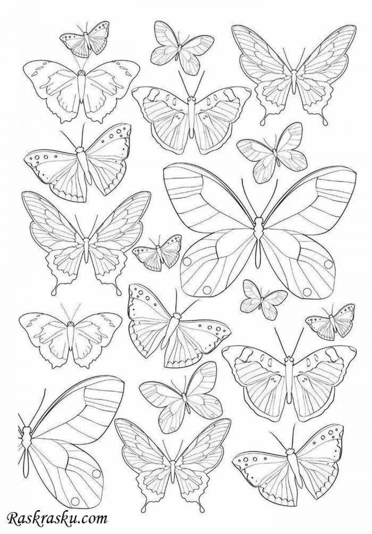 Fascinating coloring pages of butterflies