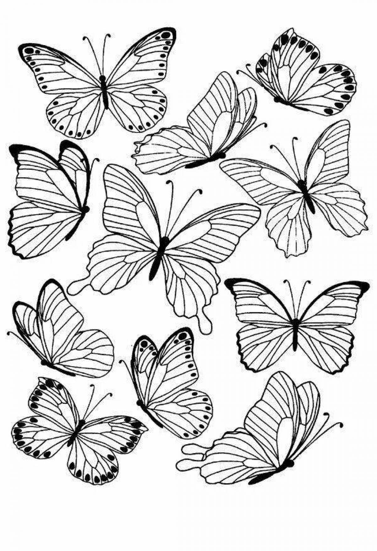 Распечатать черно-белые картинки бабочки для раскрашивания