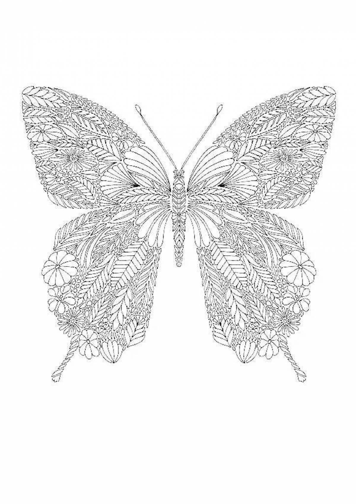 Раскраска безмятежная антистрессовая бабочка