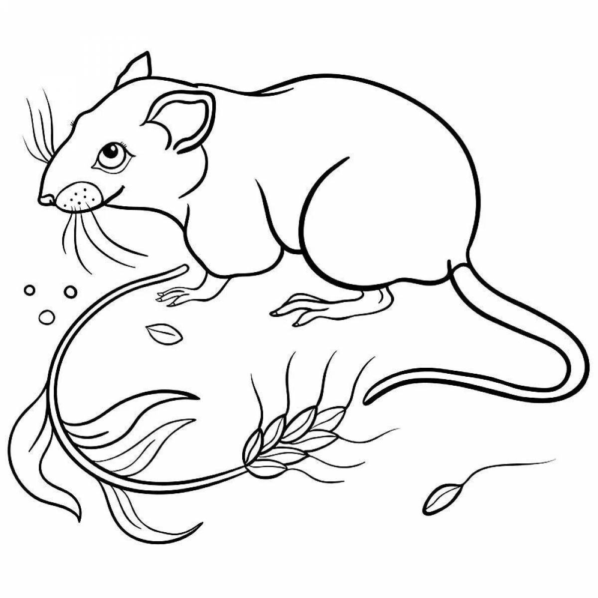 Симпатичная крыса-раскраска