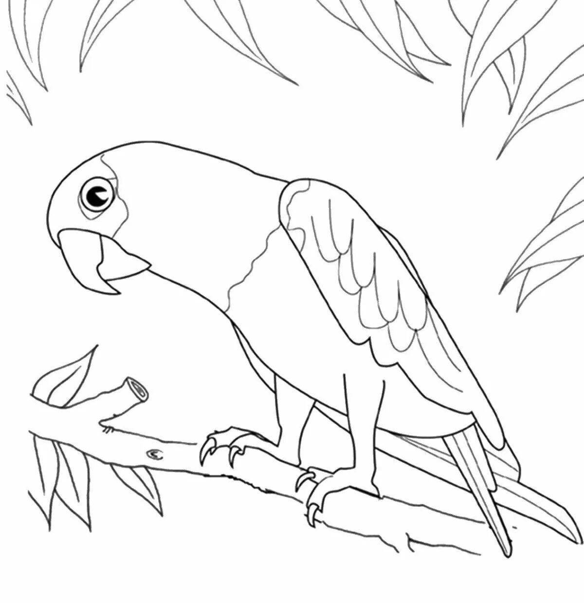Coloring book playful parrot