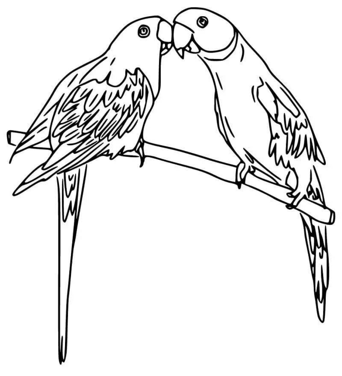 Раскраска величественный попугай