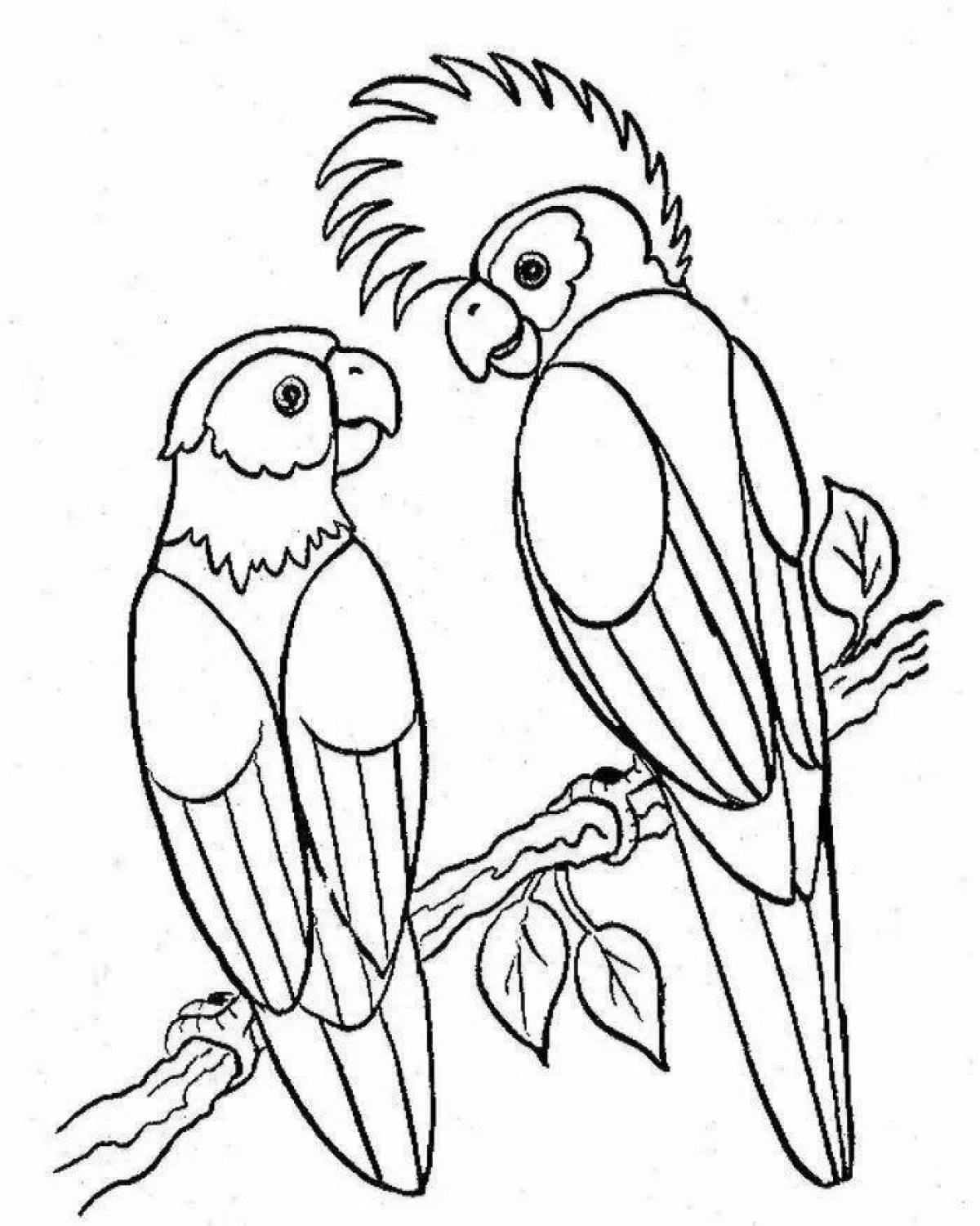 Adorable parrot coloring page