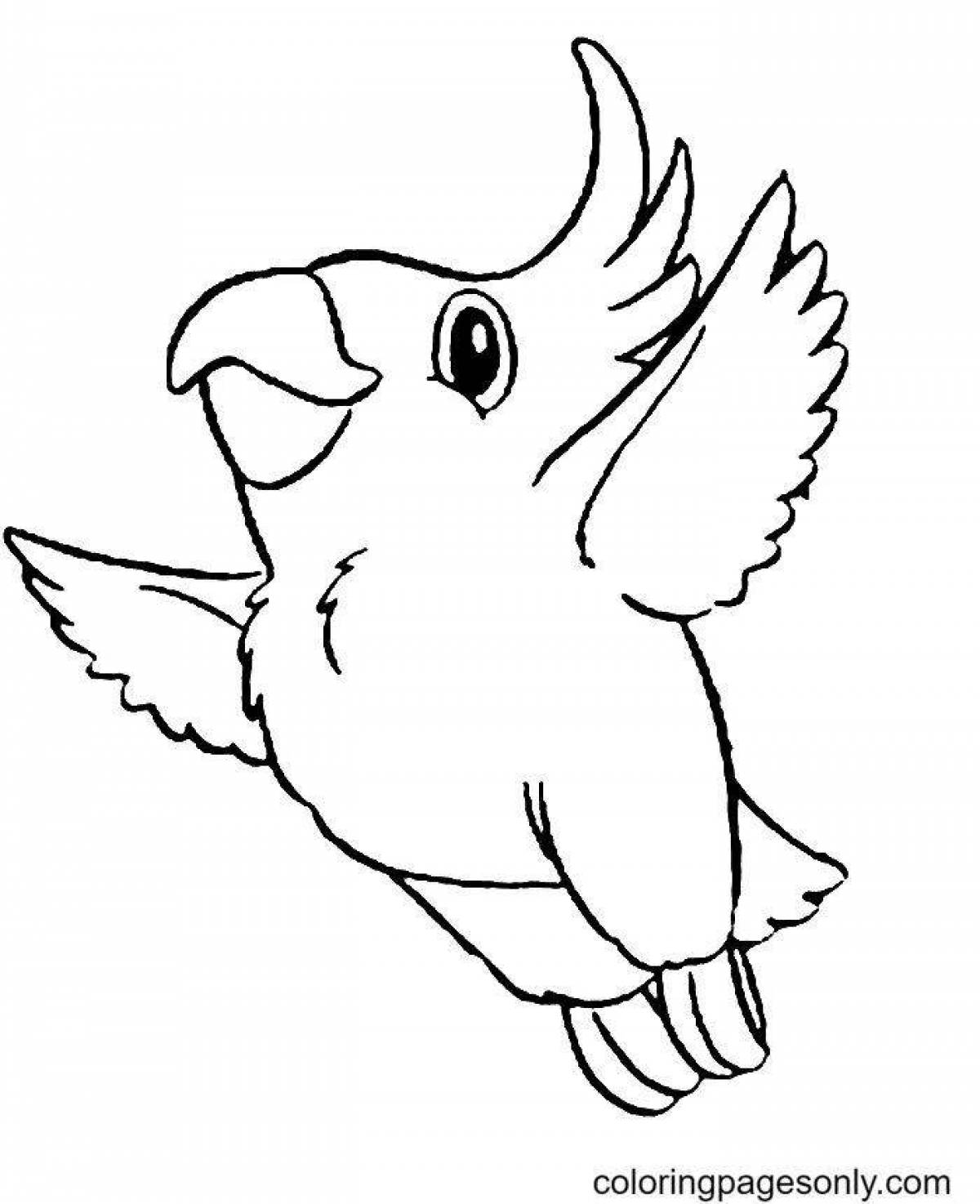 Восхитительный попугай раскраски