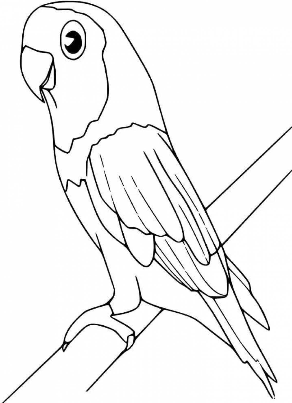 Раскраска блестящий попугай