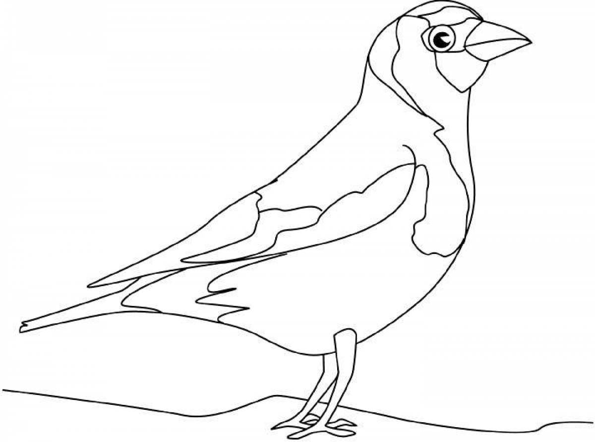 Bright goldfinch coloring page
