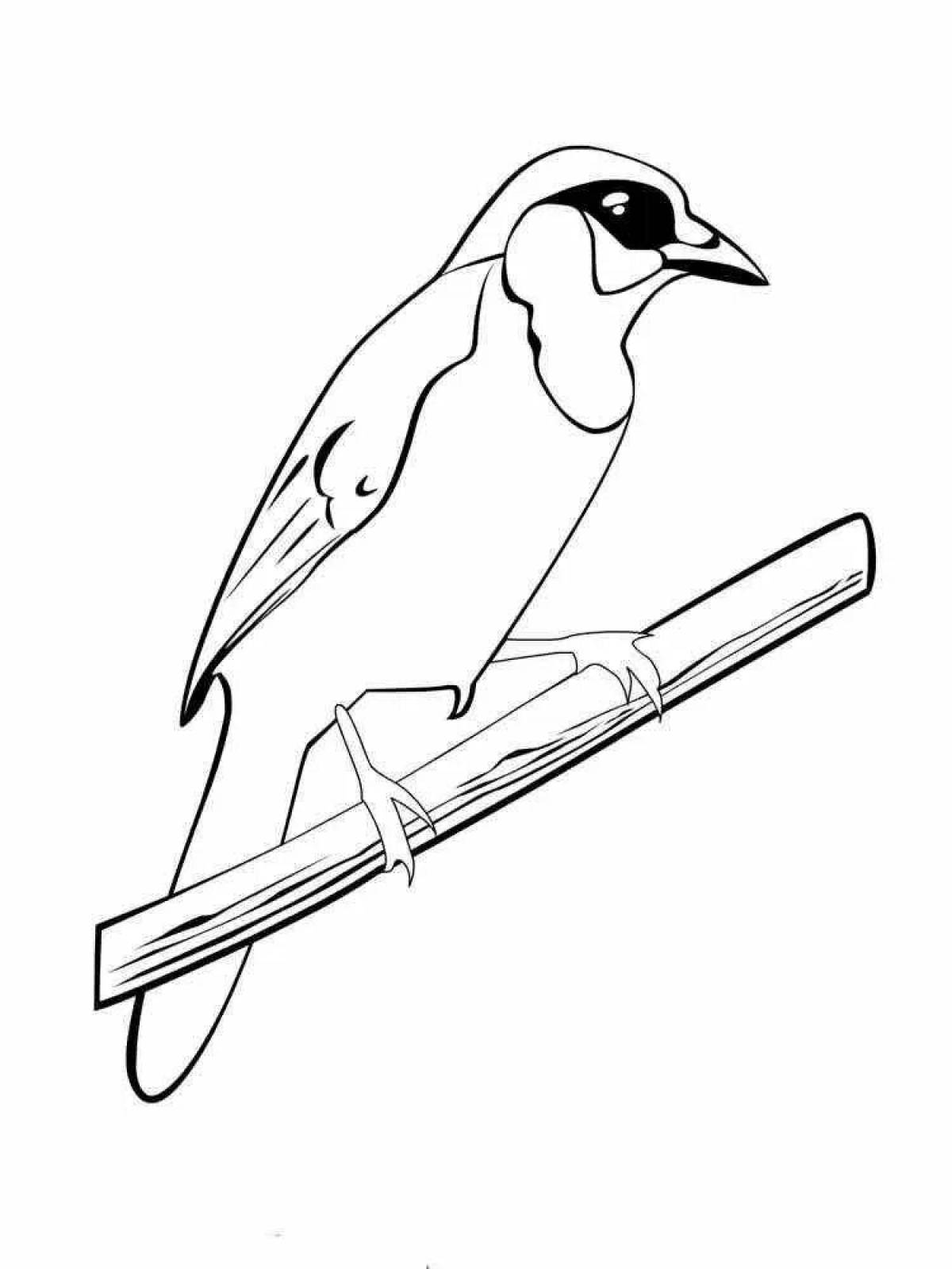 Coloring book happy goldfinch