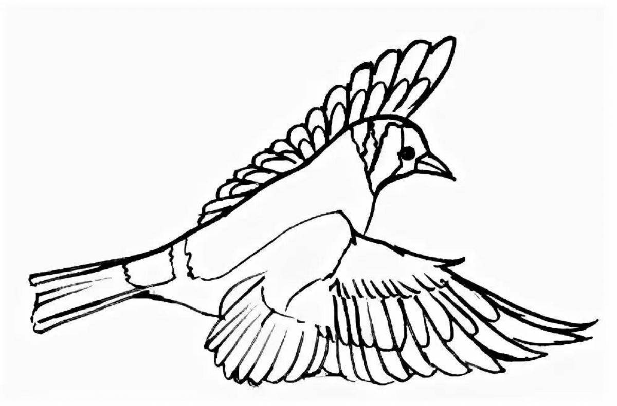 Coloring book cheerful goldfinch