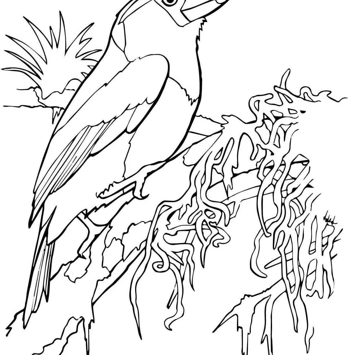 Coloring book shining goldfinch