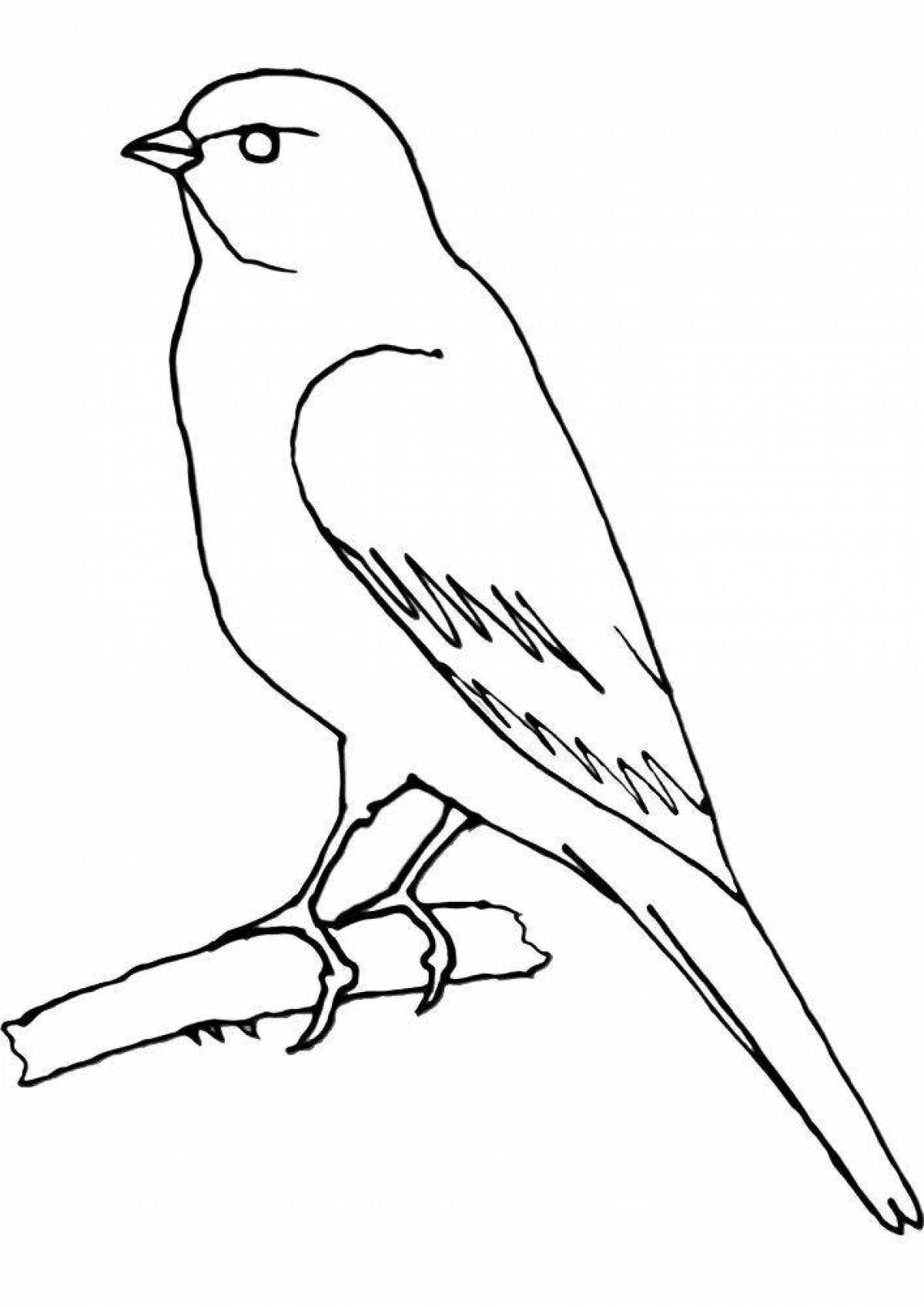 Coloring book playful goldfinch