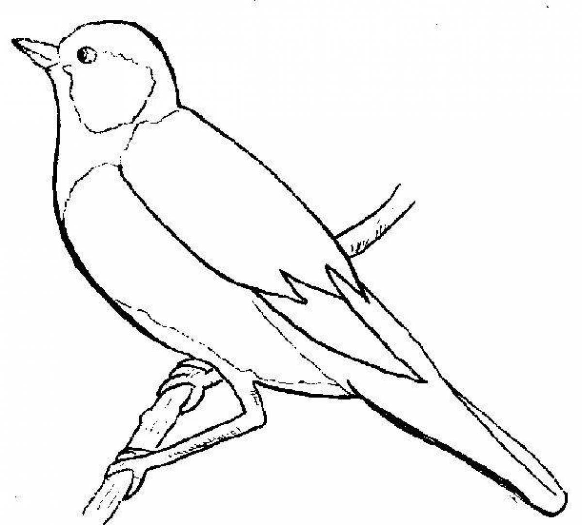 Gorgeous goldfinch coloring page