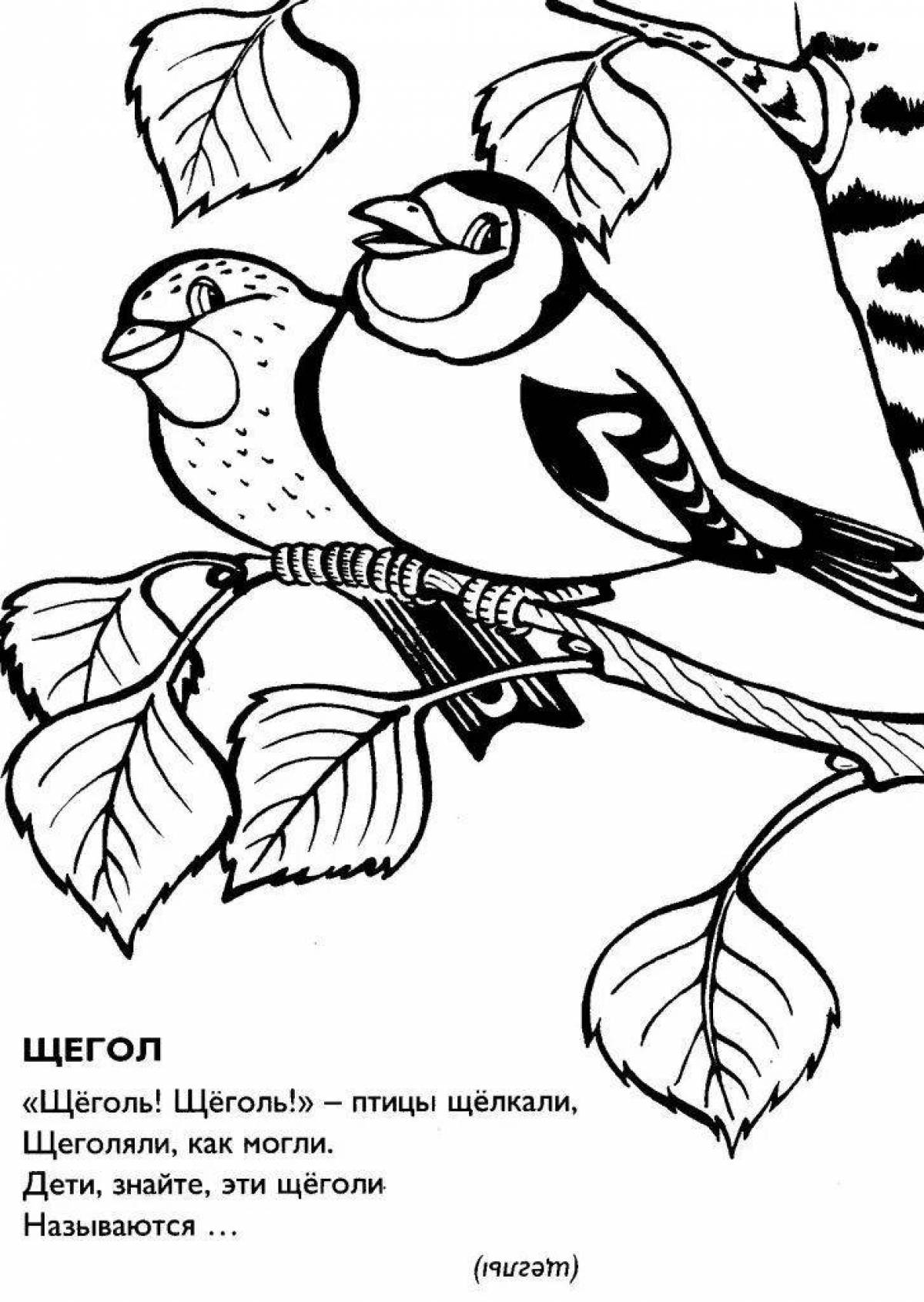 Great goldfinch coloring book