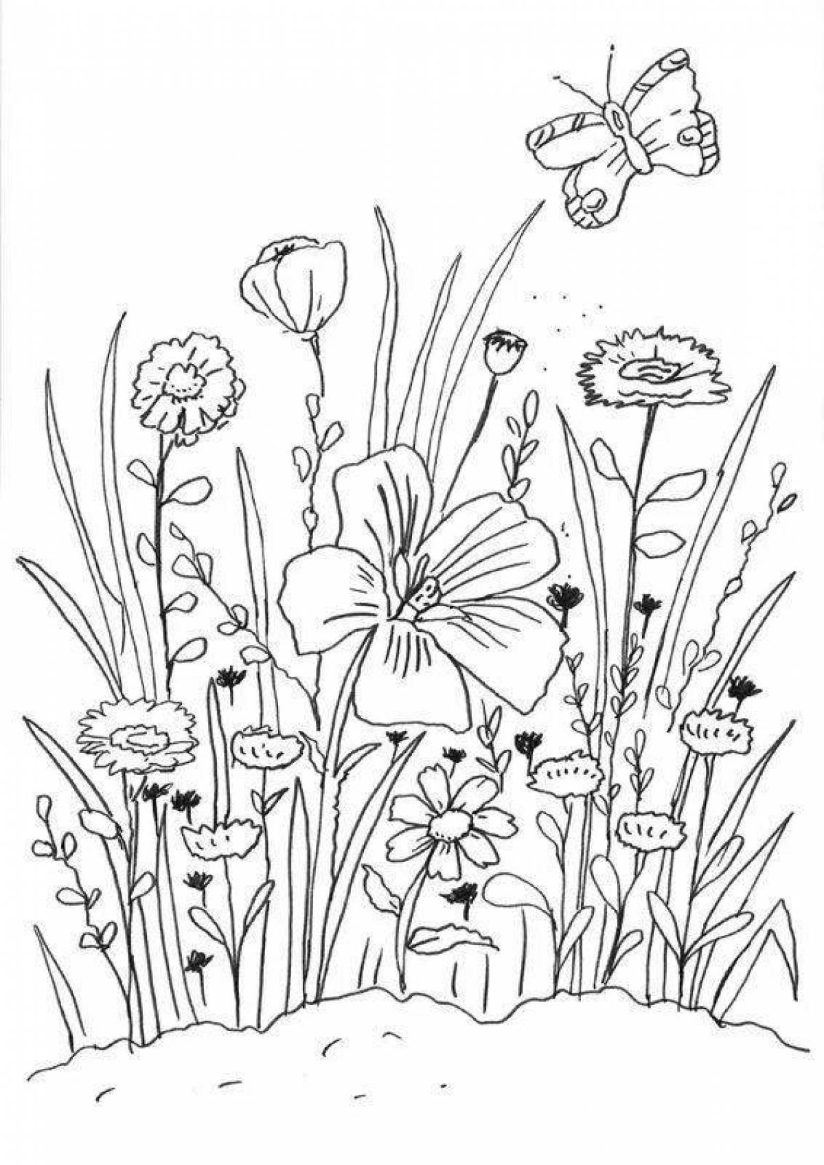 Coloring page exquisite meadow