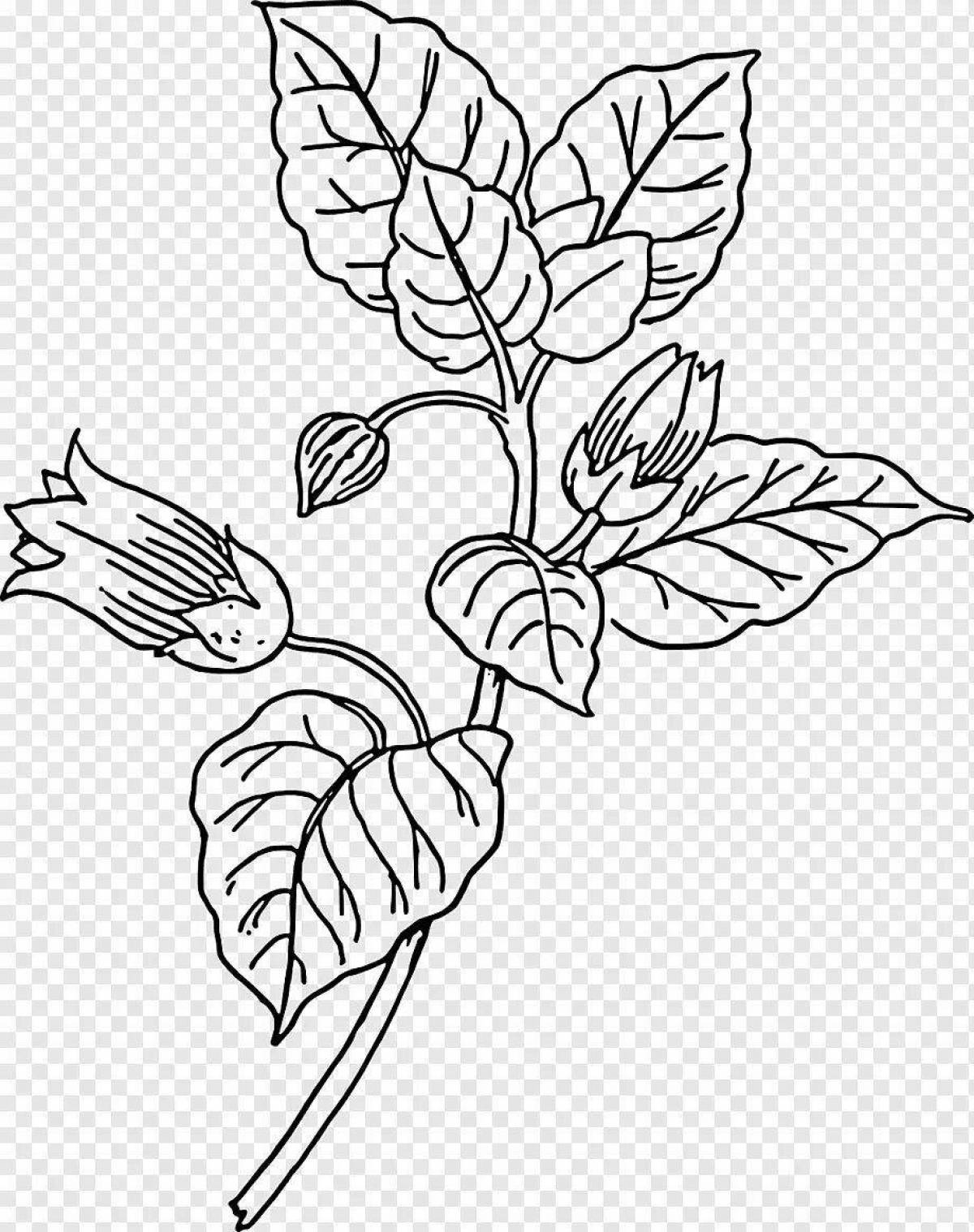 Flickering coloring of poisonous plants