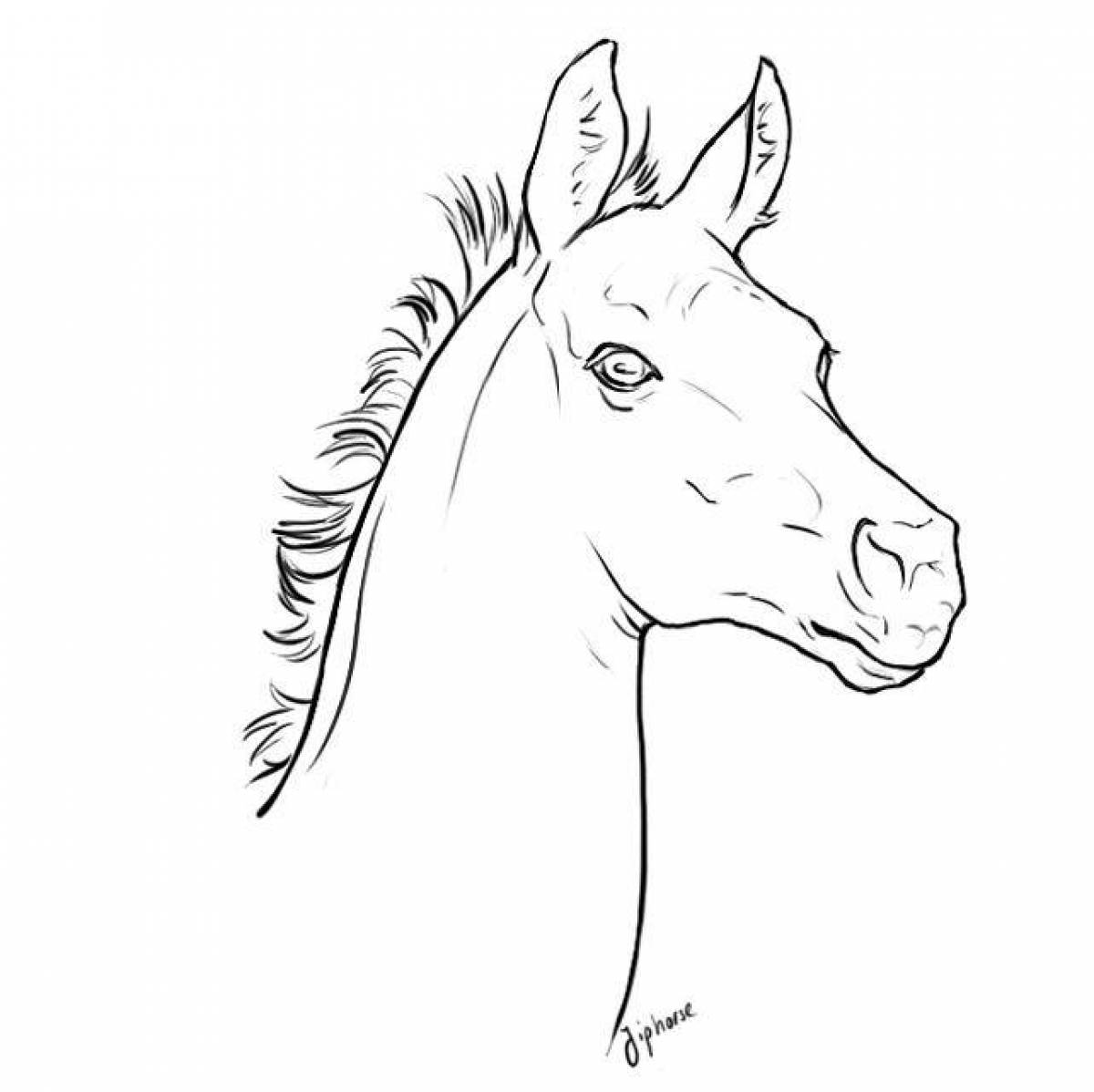 Bright coloring horse head