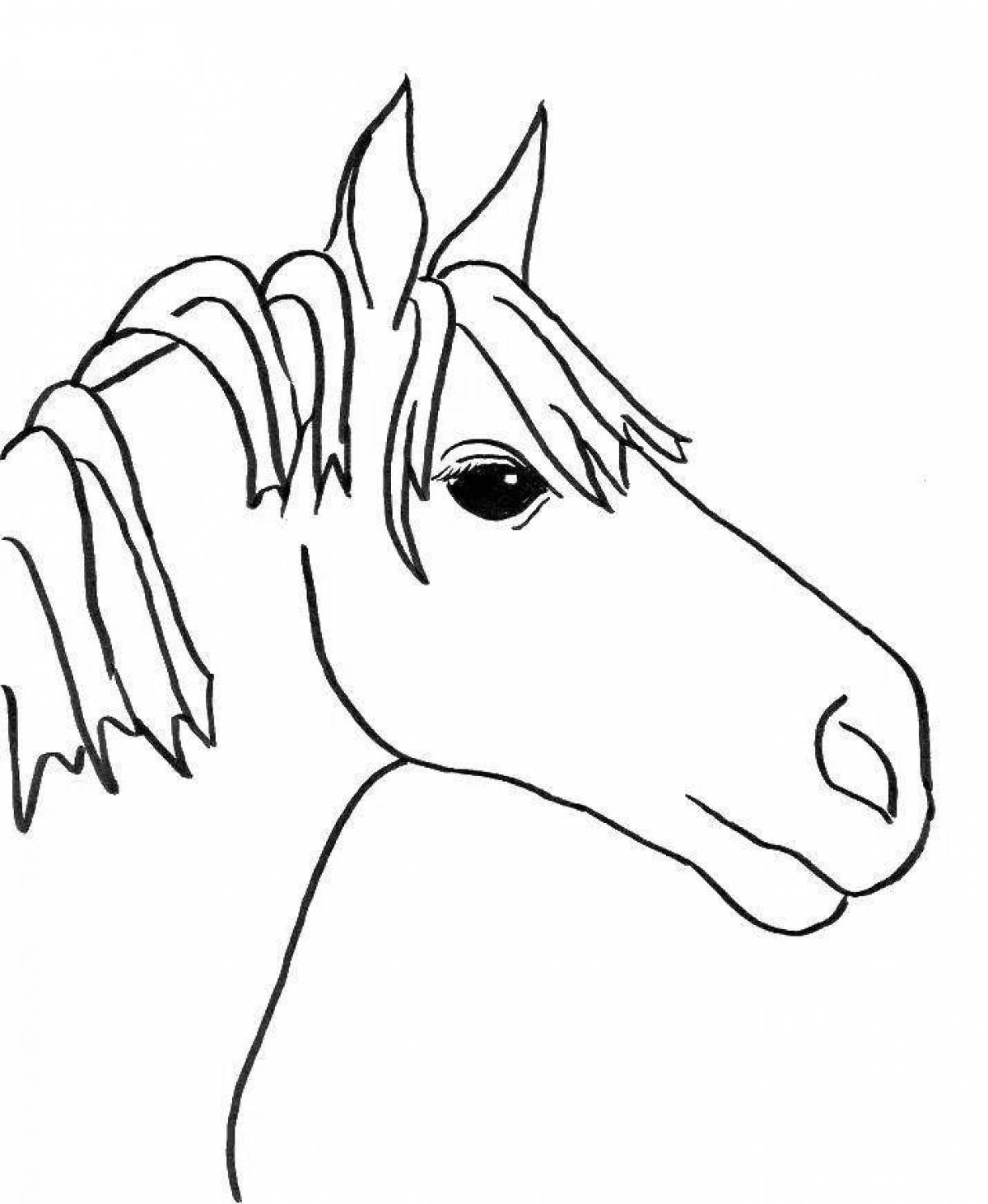 Elegant coloring horse head