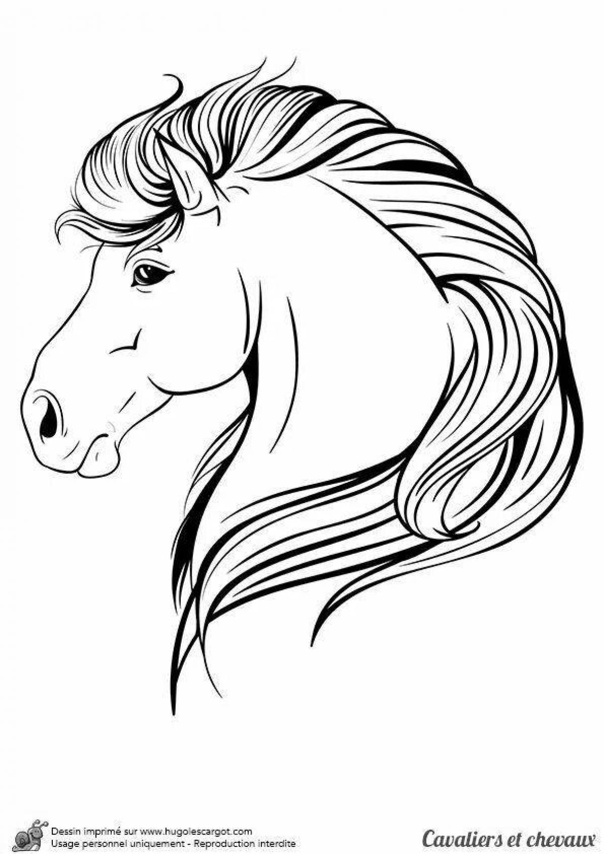 Прекрасная раскраска голова лошади