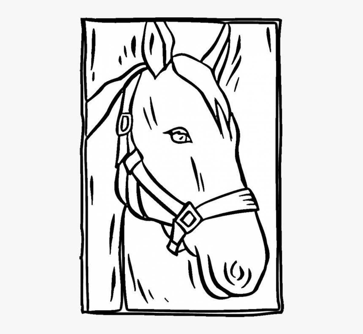 Dazzling horse head coloring book