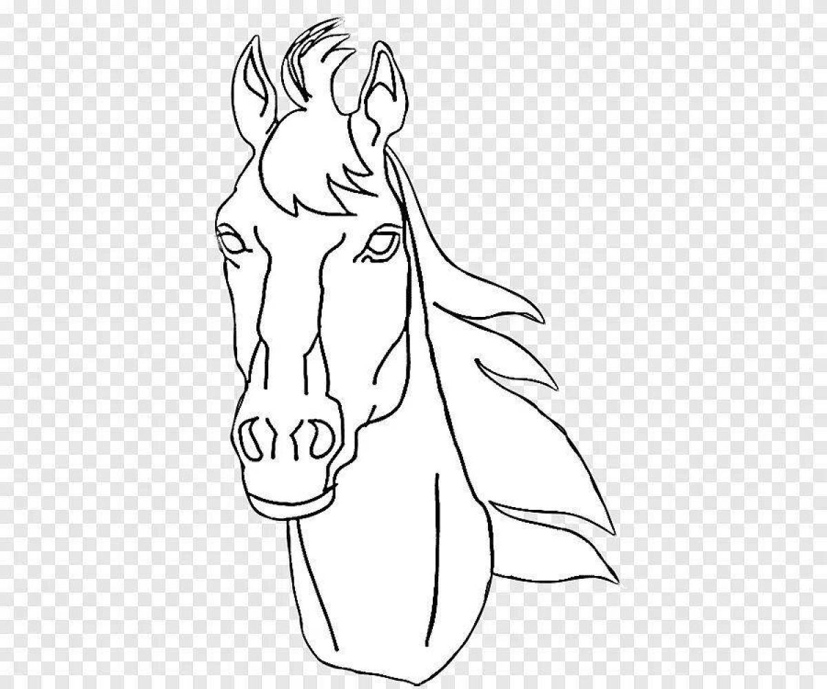 Colorful horse head coloring book