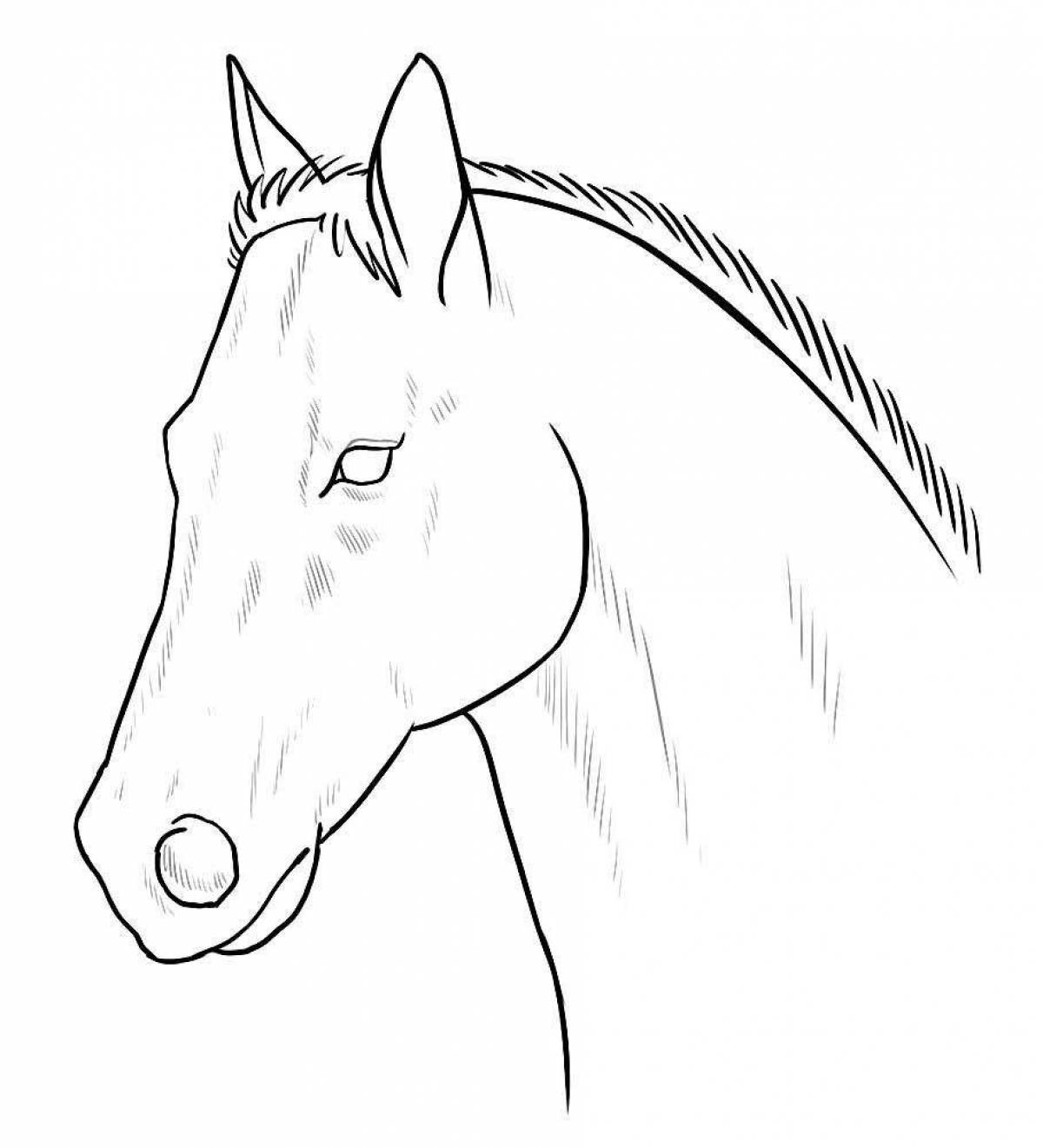 Horse head #6