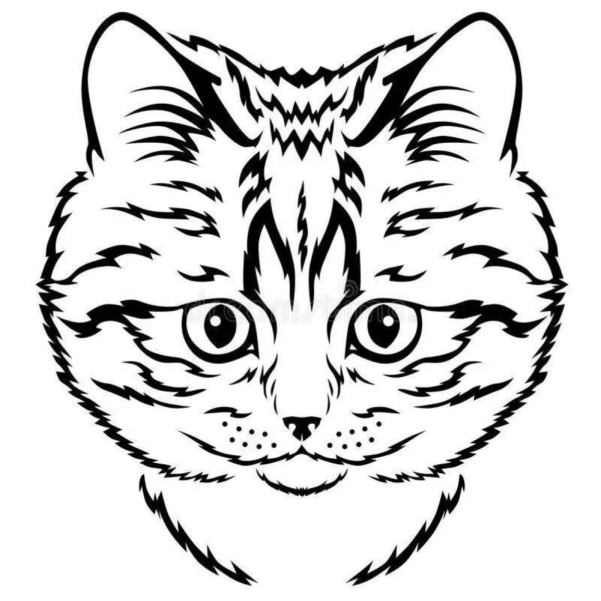 Coloring magnetic cat face