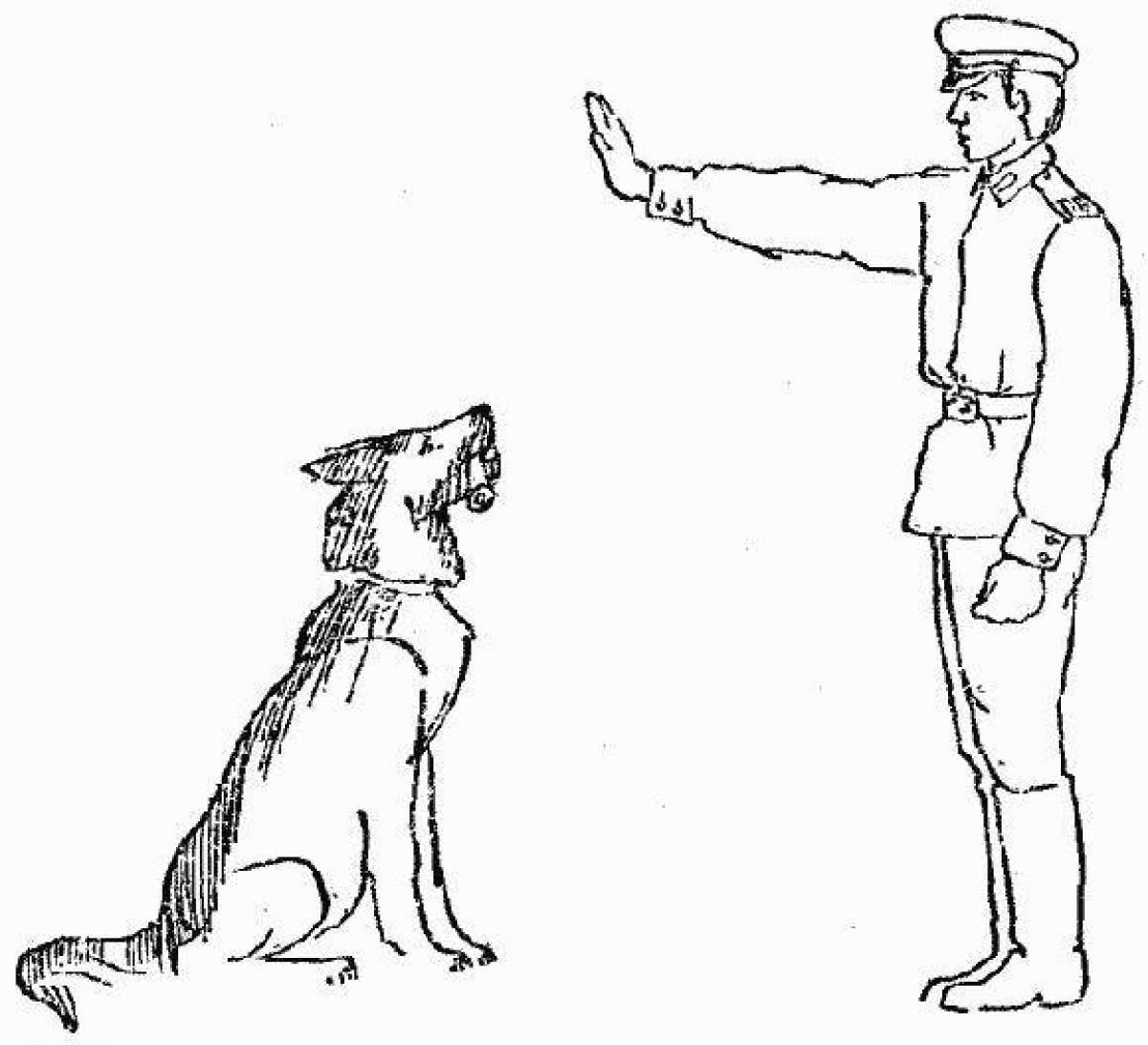 Техника дрессировки служебных собак