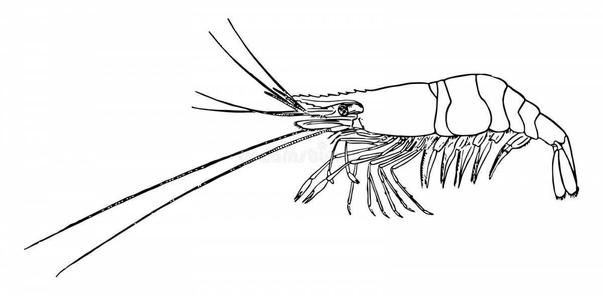 Креветка рисовать легко