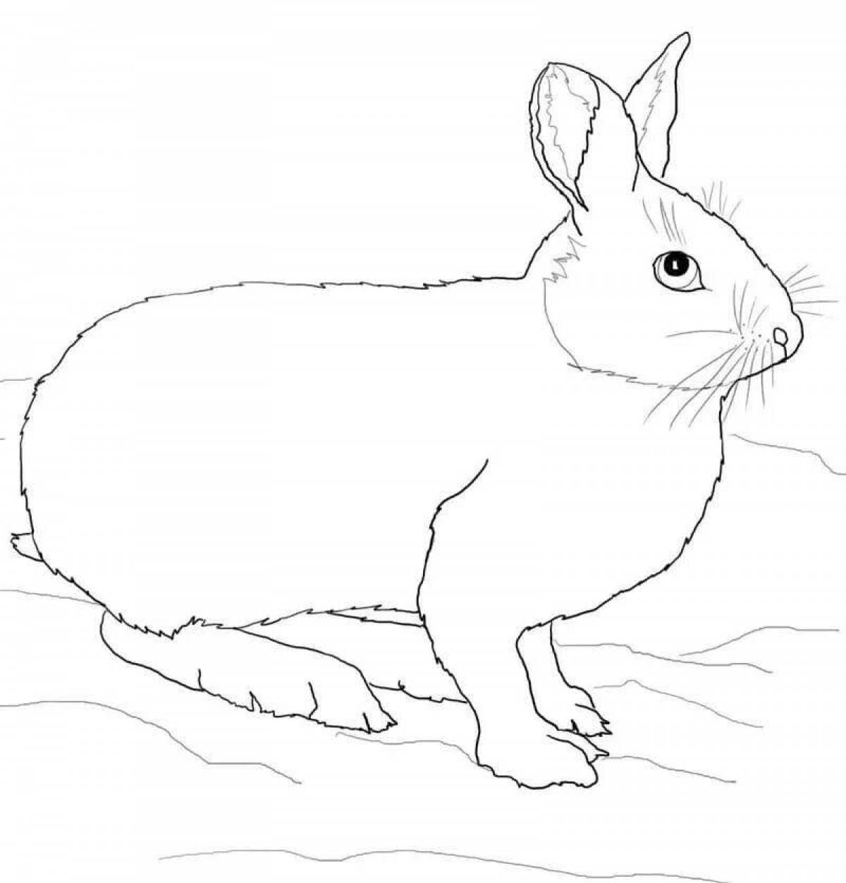 Joyful hare in winter