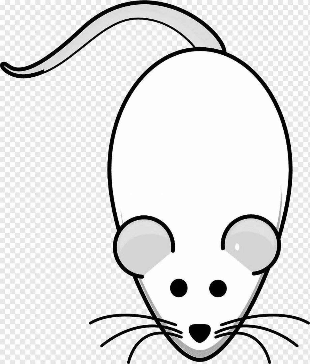 Мышь раскраска легкая