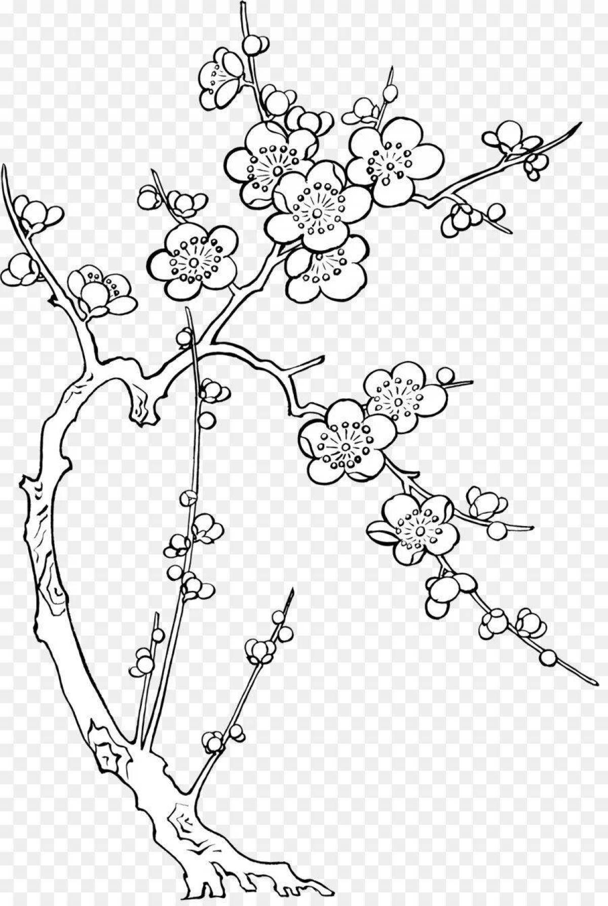 Восхитительная страница раскраски ветки сакуры