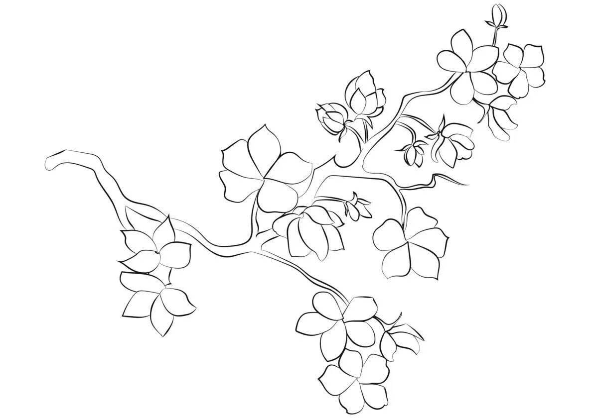 Coloring elegant sakura branch