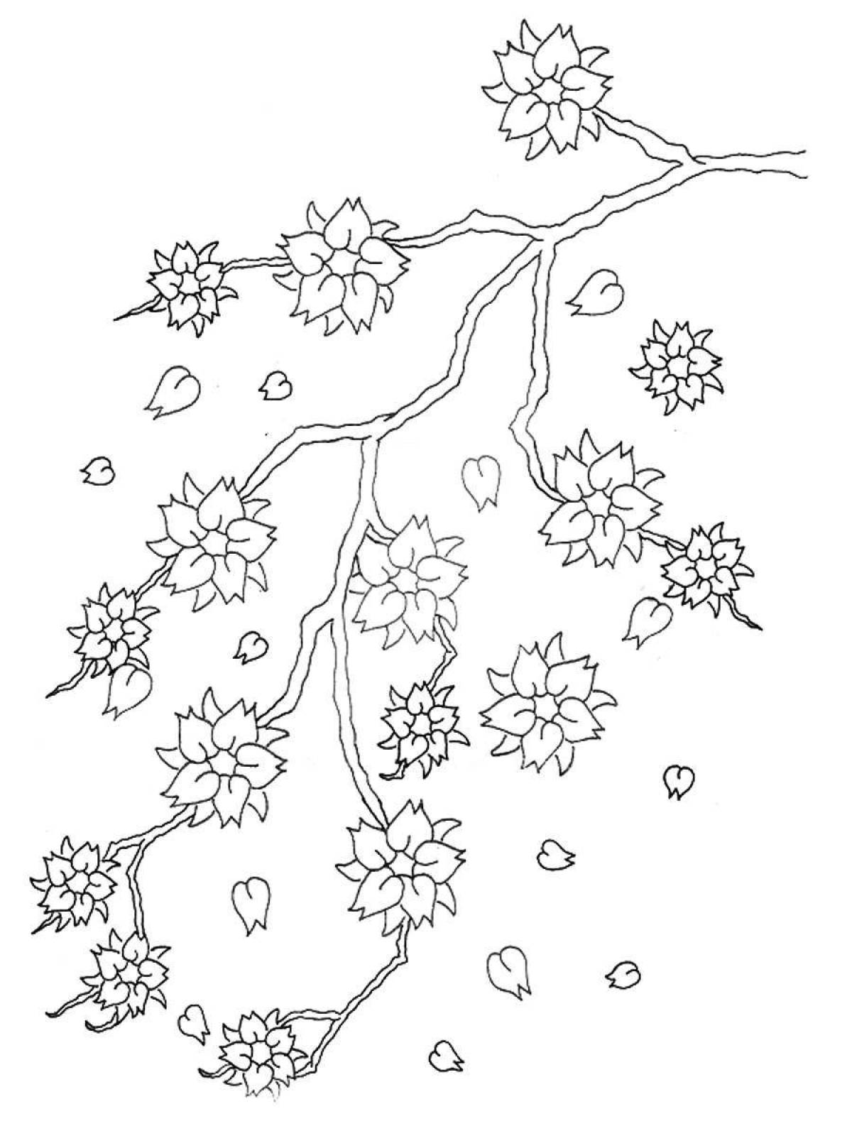 Coloring beautiful sakura branch