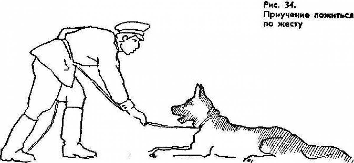 Noble border guard with a dog
