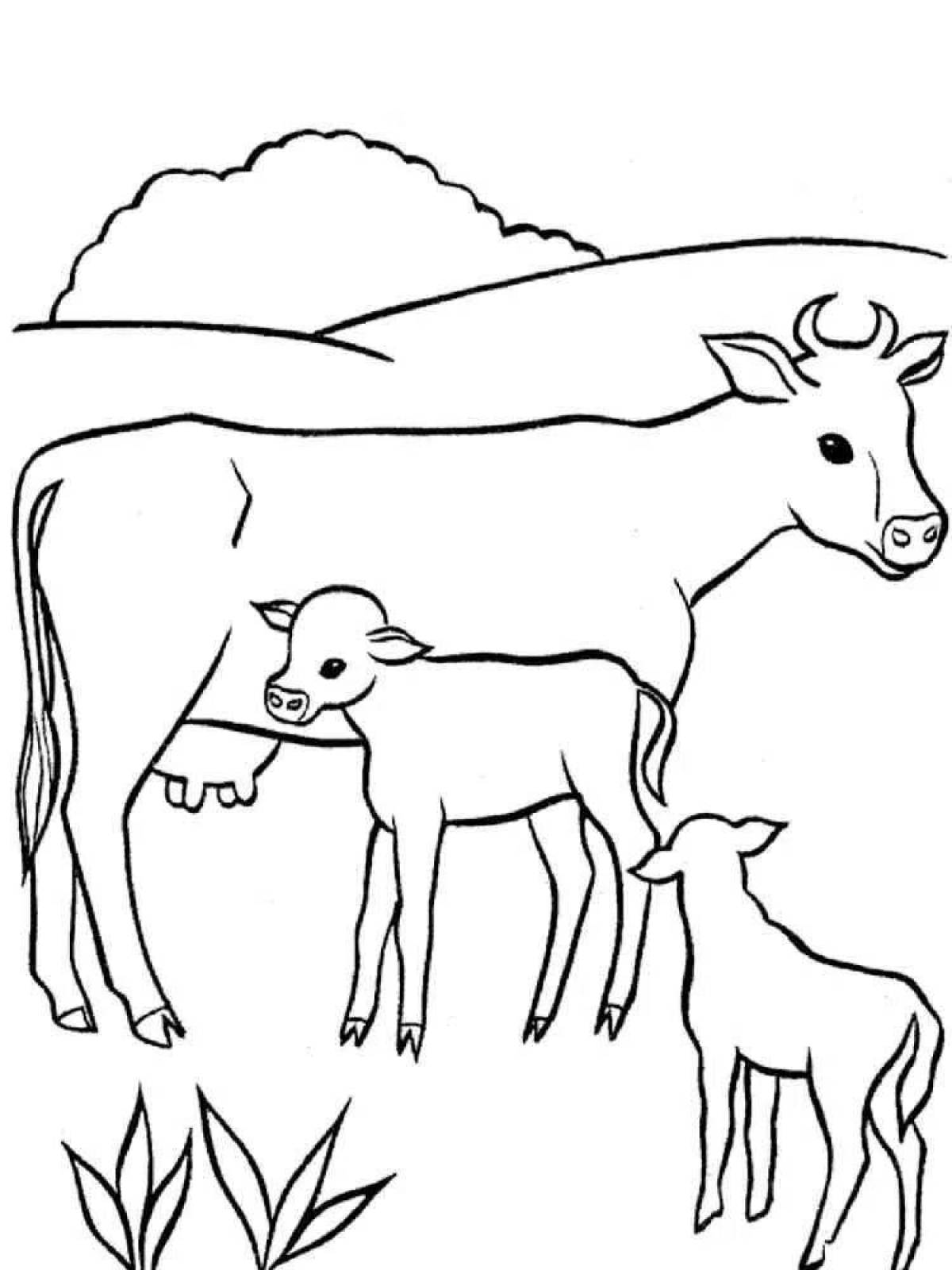 Анимированная страница раскраски коровы и теленка