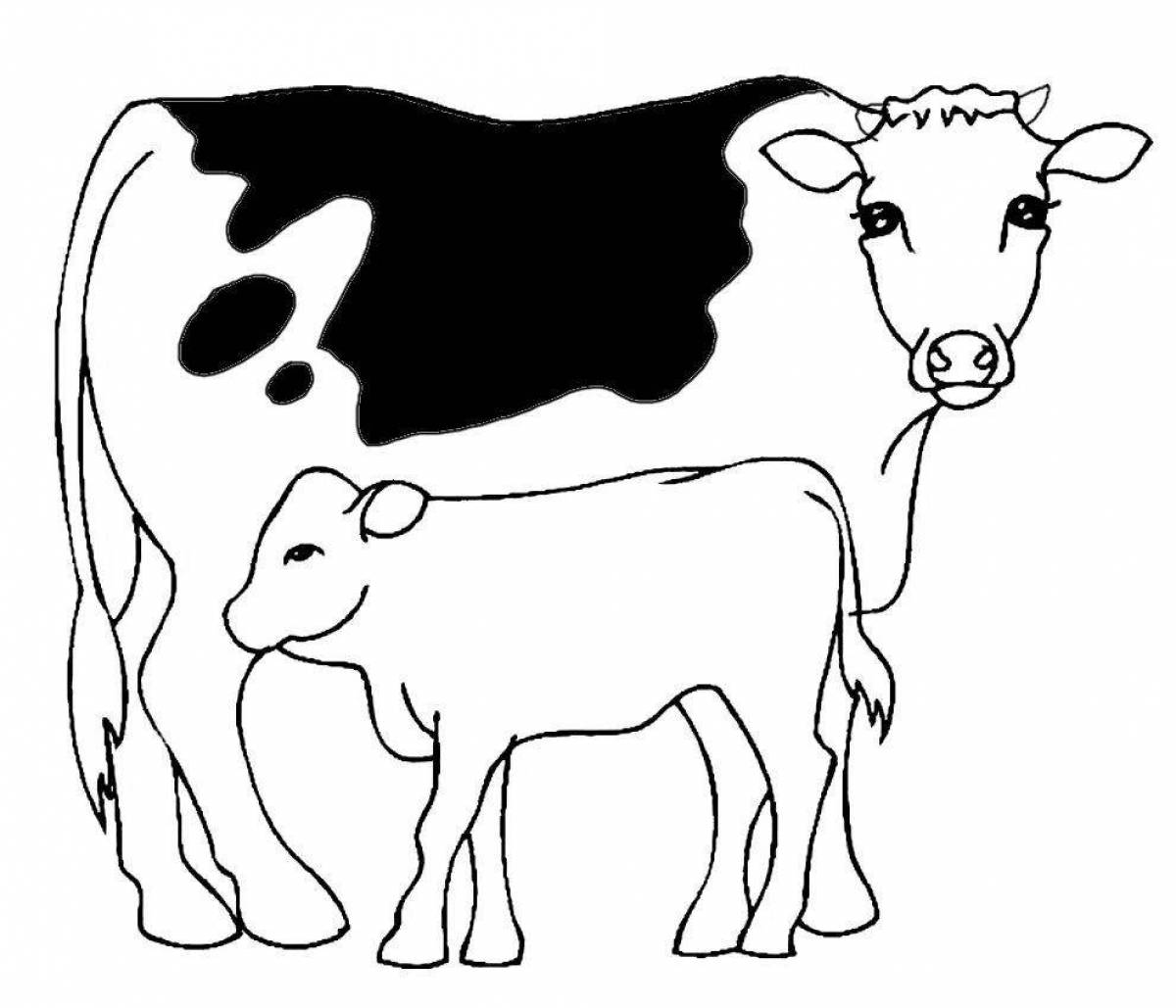 Раскраска праздничная корова и теленок