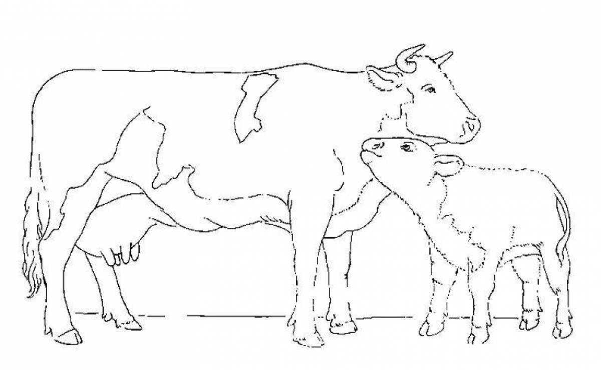 Luminous cow and calf coloring page