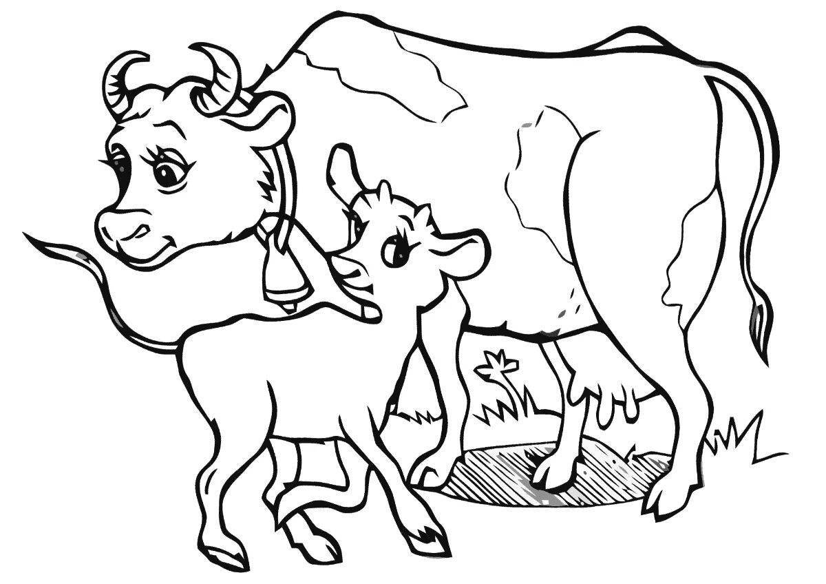 Раскраска экзотическая корова и теленок