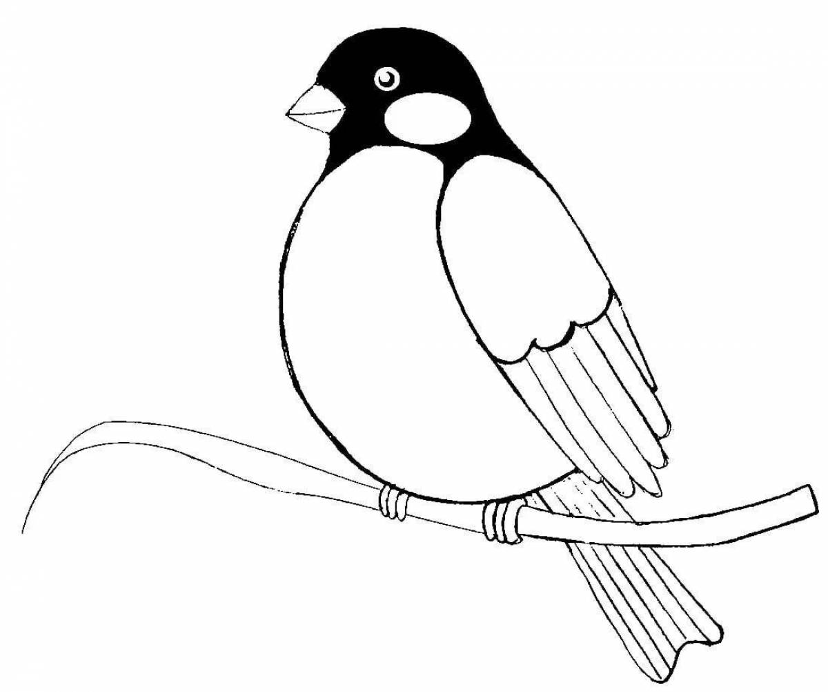 Coloring book charming bullfinch and titmouse