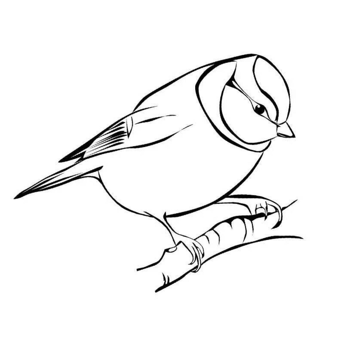 Radiant bullfinch and tit coloring page