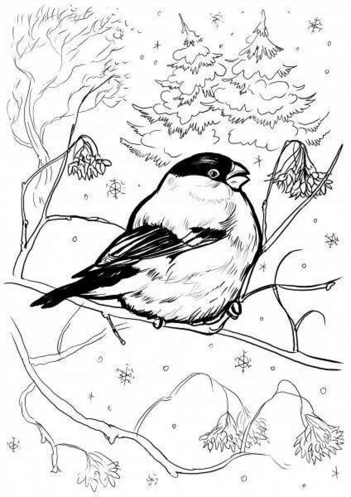 Coloring book dazzling bullfinch and titmouse