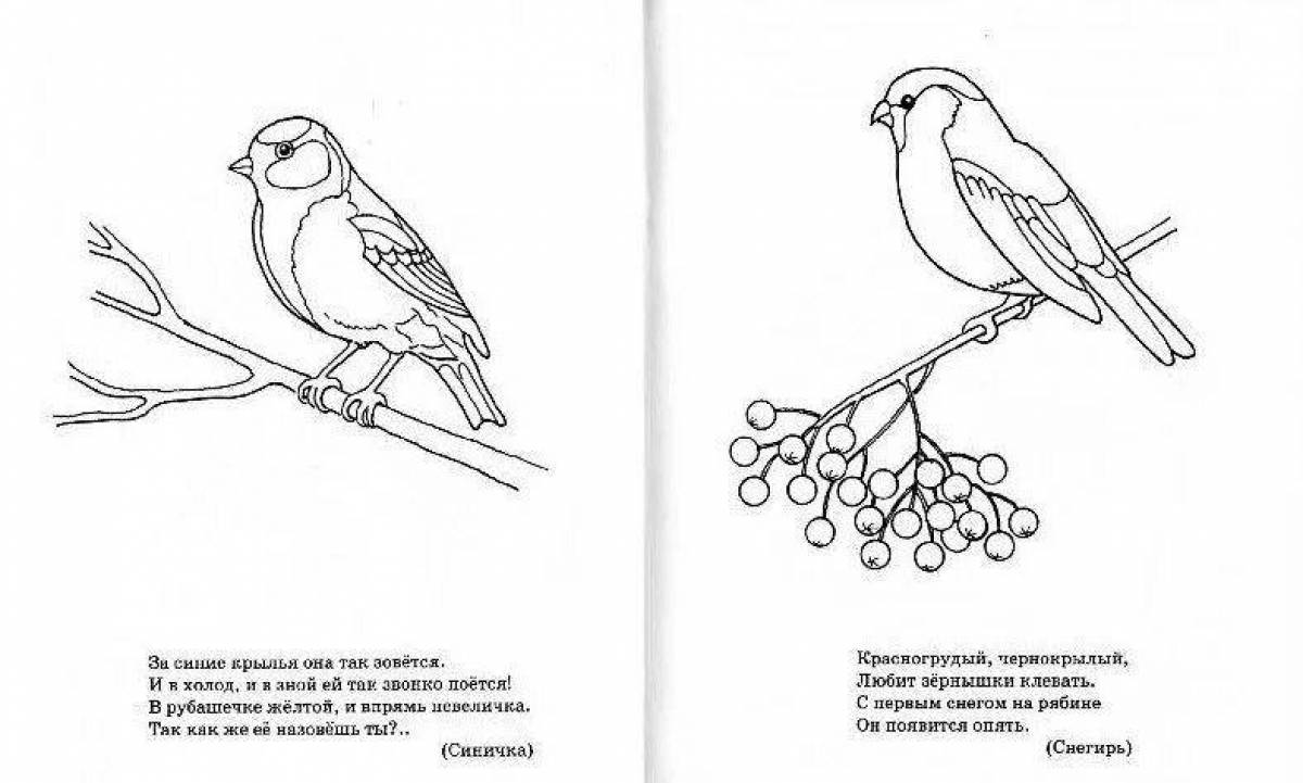 Coloring book shiny bullfinch and titmouse
