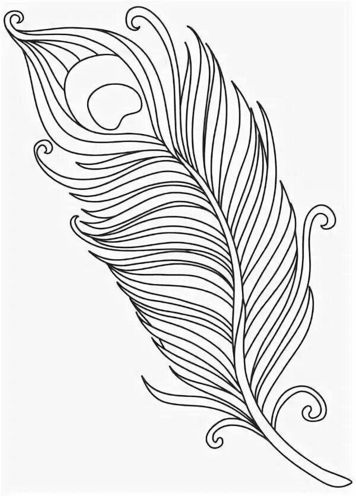 Colorful firebird feather coloring book