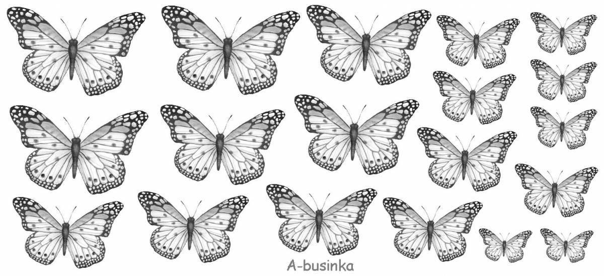A majestic array of butterflies on one sheet