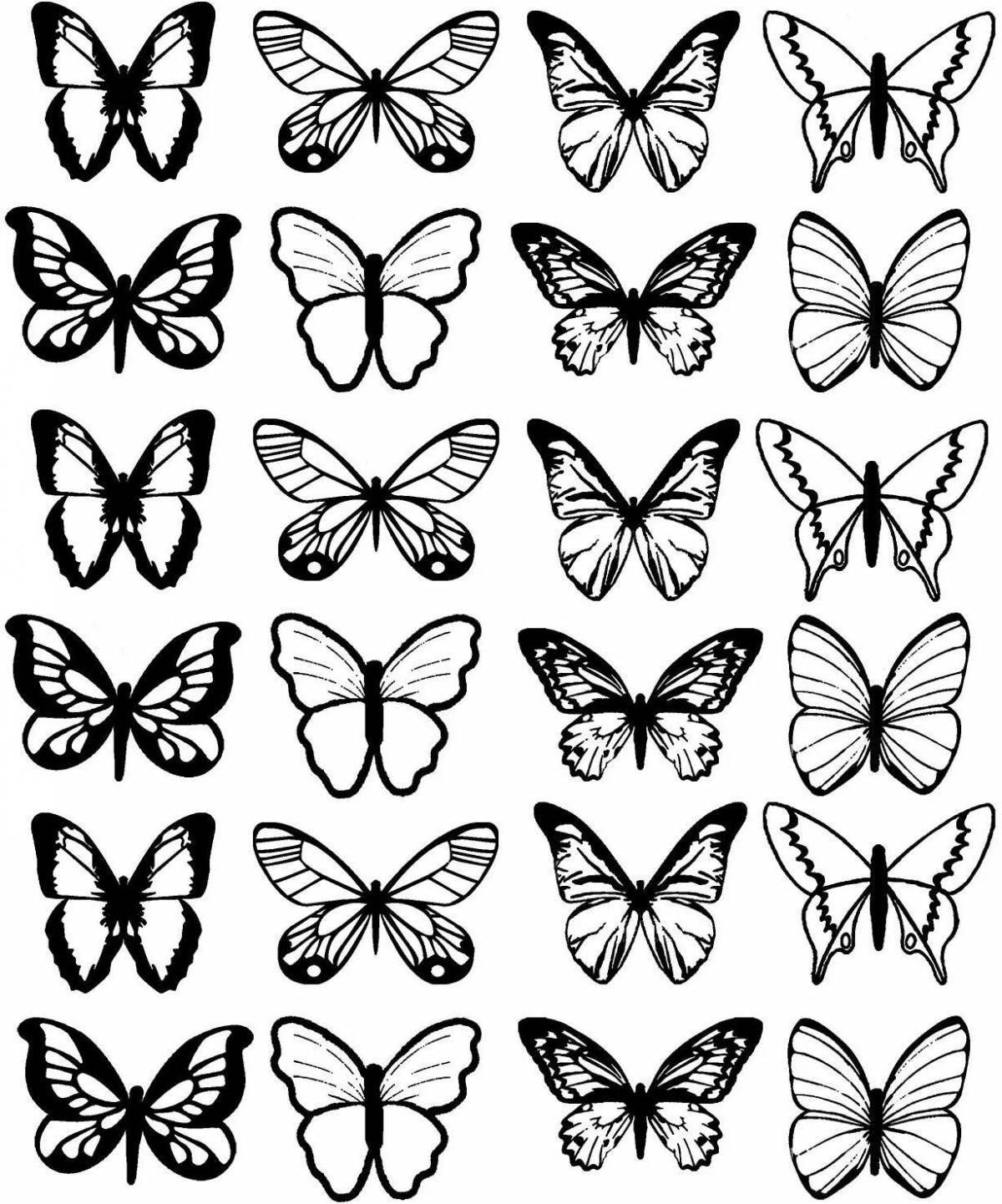 Many shining butterflies on one sheet
